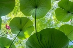 「9.4」曼联新闻快讯：英超前3轮统计曼联多项进攻数据排名第1