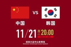 世预赛巅峰对决：波兰对阵芬兰，出线命运热血激战